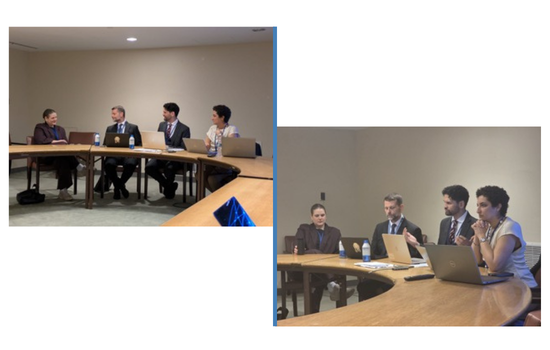 Verification and Knowledge in a Nuclear Weapons Weapons World: a Briefing from VeSPoTec’s Side Event in the 11th NPT Review Conference